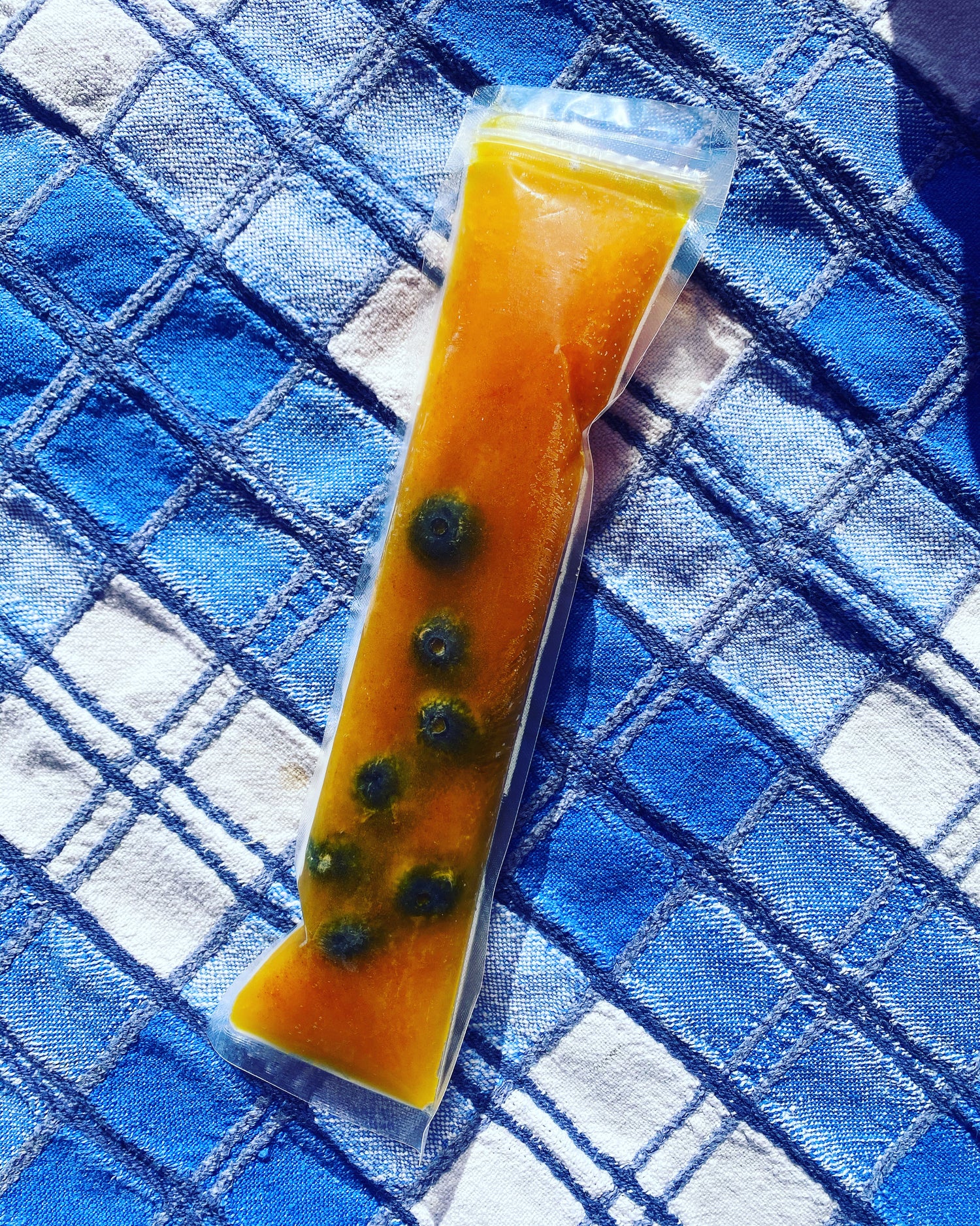 Doggie Bone Broth Ice Pop
