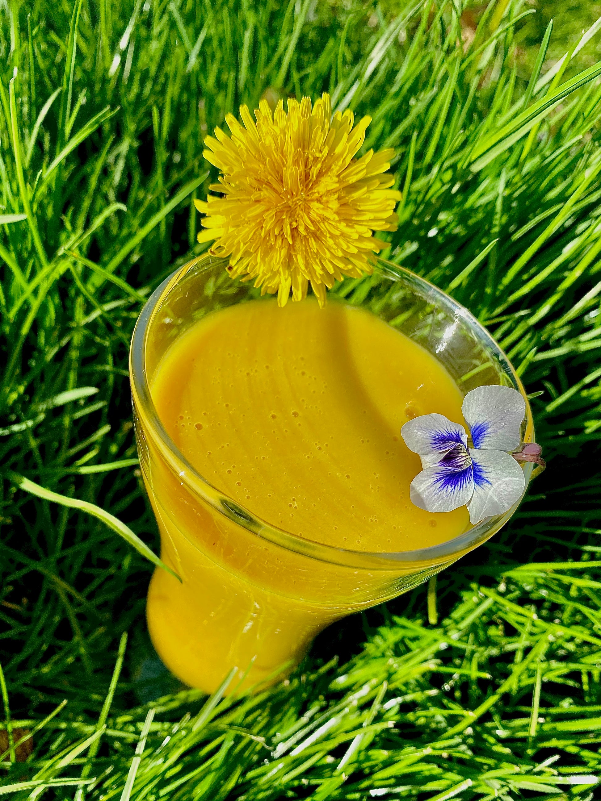A glass of the Immunity Bone Broth Elixir in the spring time